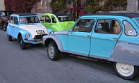 Citroen Dyane (2008-10-11, Club de 2 CV de Grenoble)(02)